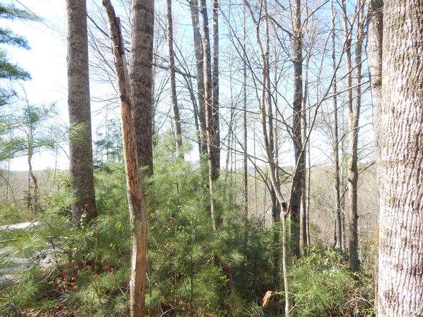 0 Furman Drive, Hendersonville, NC 28739